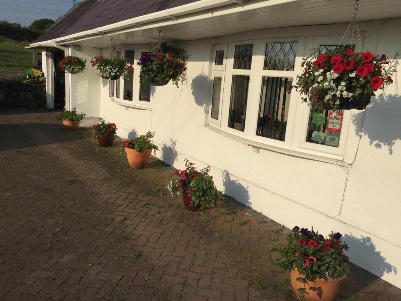 Brynawel Farm B&B Pontlliw Zewnętrze zdjęcie
